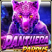permainan slot Panthera Pardus provider Live 22 dari situs slot gacor PENGAWAS4D